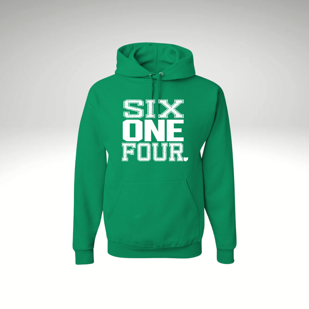 DFL All Star Hoodie 3