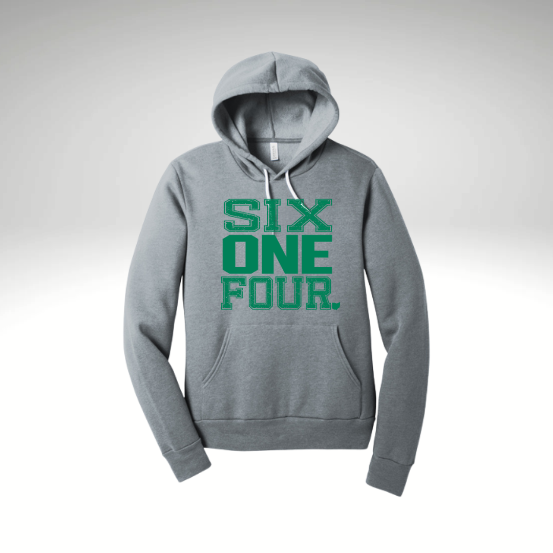DFL All Star PREMIUM Hoodie 3