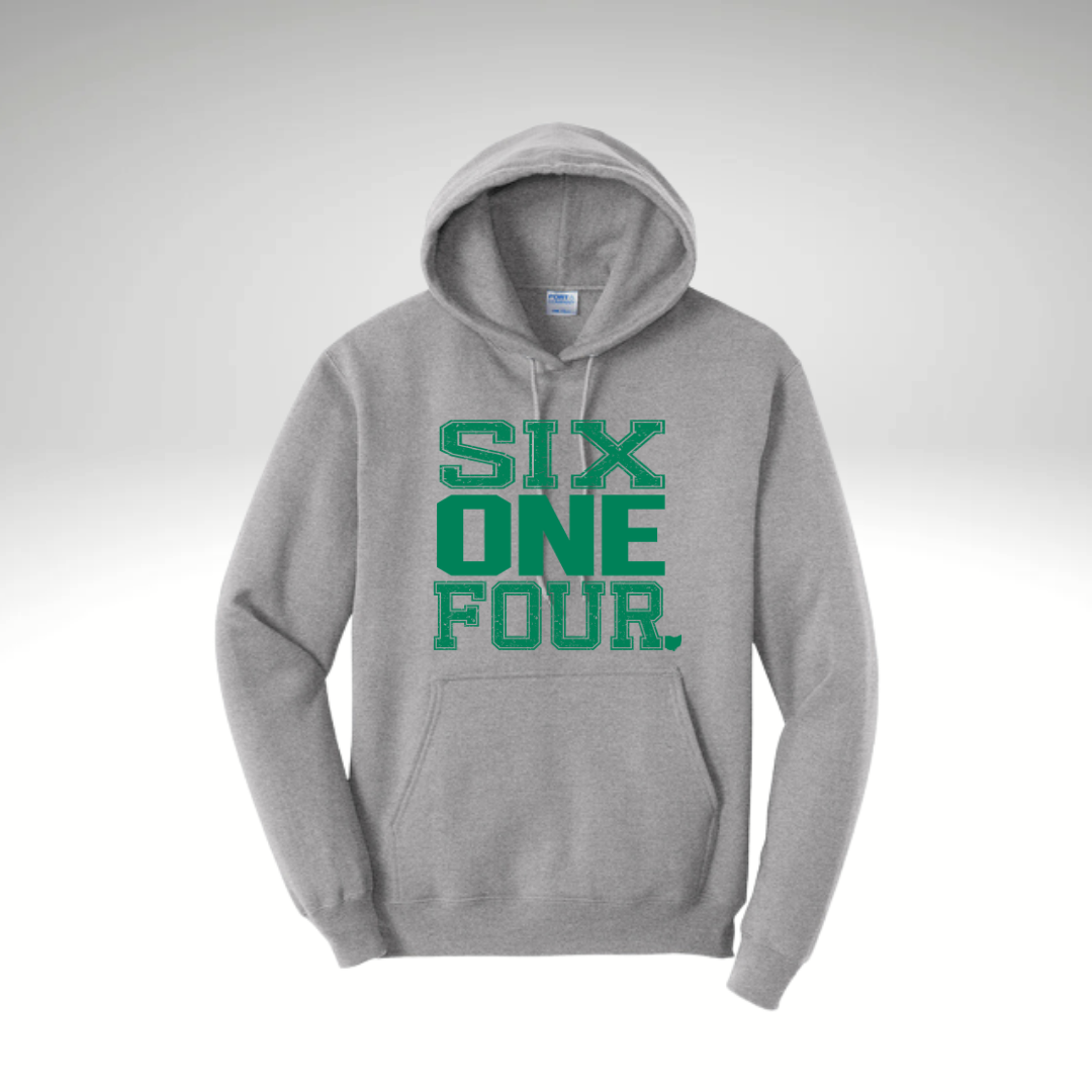 DFL All Star Hoodie 3